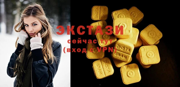 ECSTASY Инсар