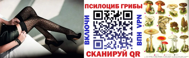 мега как войти  закладки  Гай  Псилоцибиновые грибы ЛСД 