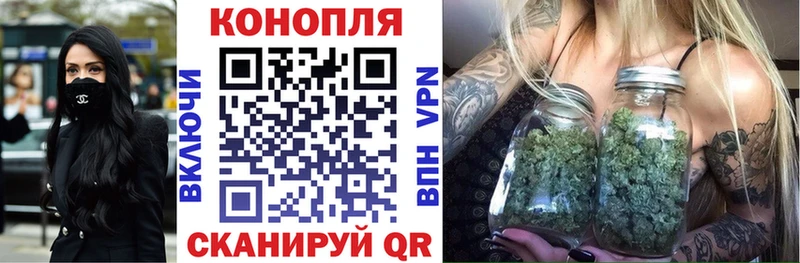 Каннабис план Гай